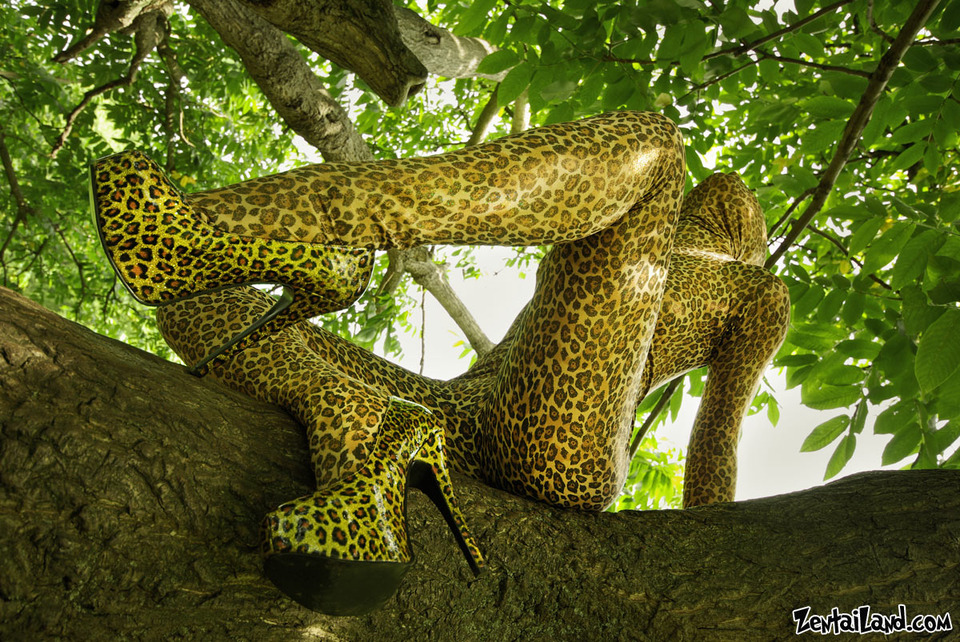 Girl clothed like leopard  | leopard clotjing, high-heeled shoes, tree, wild