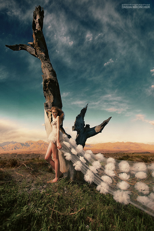 Angels and deamons | angel, deamon, environmental portrait, wild