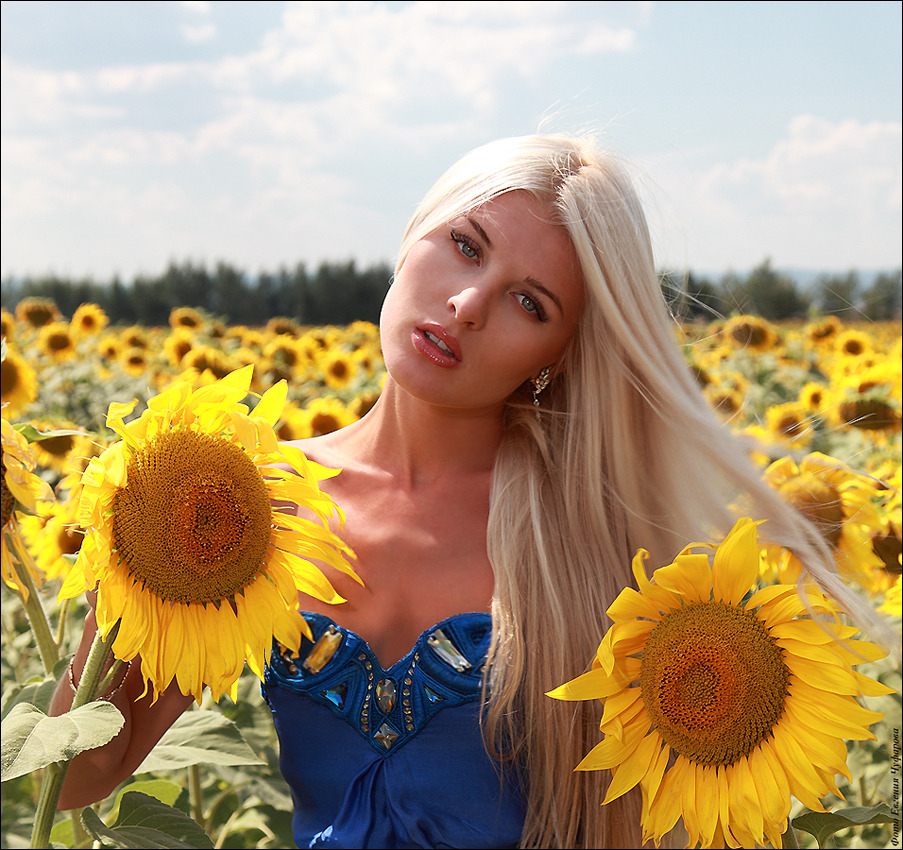 Girl in the sunflower field | sunflower, girl, summer, blond